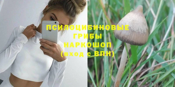герыч Новокубанск
