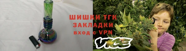 индика Грязовец