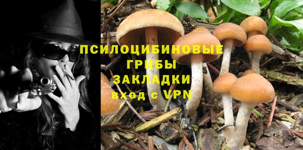 кокаин колумбия Новозыбков