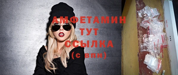 индика Грязовец