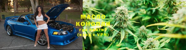 индика Грязовец